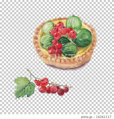 Detailed watercolor illustration of berry tartlet 18262117
