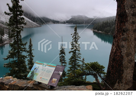 カナディアンロッキー　モレーン湖の眺望 18262207