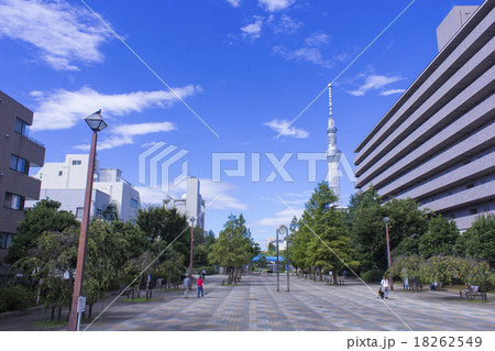 大横川親水河川公園と東京スカイツリー 18262549