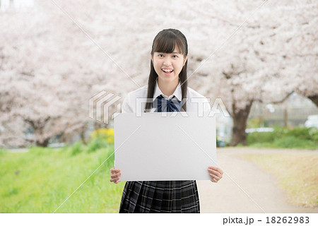 満開の桜並木に立っている制服姿の女子高校生 18262983