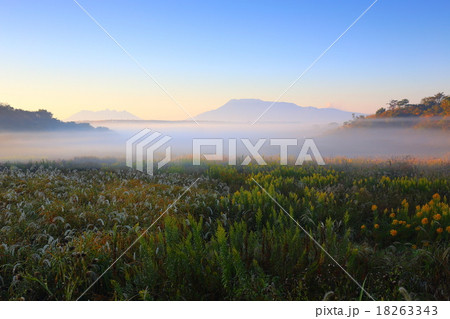 阿蘇の朝霧 18263343