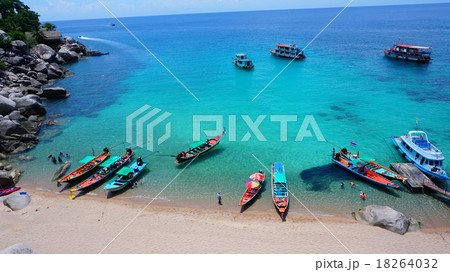 サンゴ礁の海 18264032