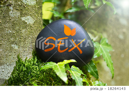 The Word Sex on a stone 18264143