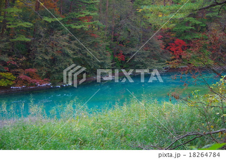 五色沼の紅葉 五色沼の紅葉 18264784