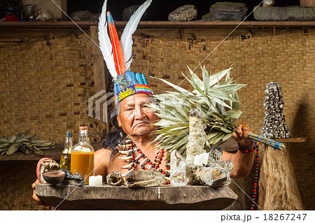 Amazonian Shaman Portrait Amazonian Shaman Portrait 18267247
