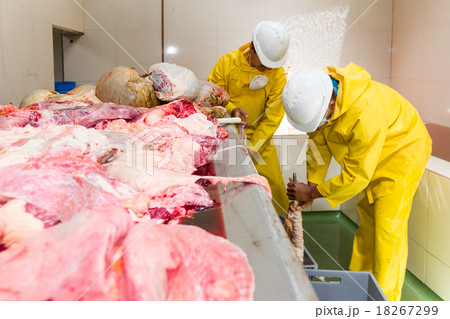 Slaughterhouse Workers In Organs Washing Room Slaughterhouse Workers In Organs Washing Room 18267299