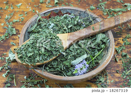 Spoon and a bowl with fresh mint plant Spoon and a bowl with fresh mint plant 18267319