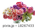 羊花 18267433