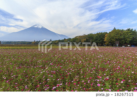 富士山 18267515