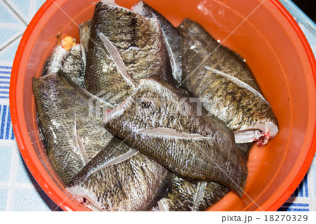 Fresh Fish Fresh Fish 18270329