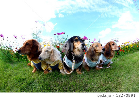 見つめる先には 18270991