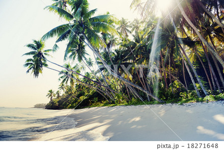 Tropical Beach Travel Holiday Vacation Leisure Nature Concept 18271648