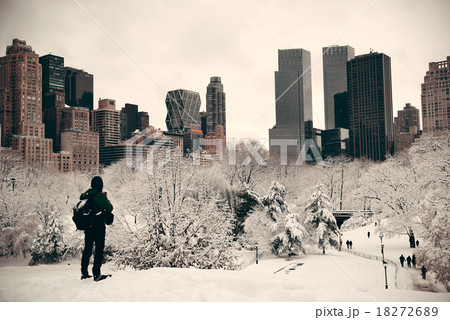 Central Park winter 18272689