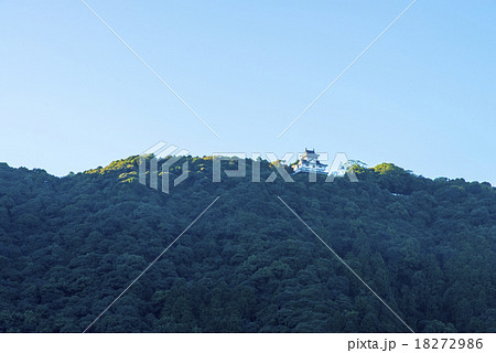 岩国城 岩国城 18272986