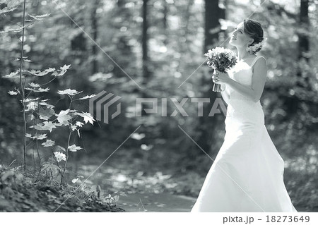 wedding photography concept of family happiness wedding photography concept of family happiness 18273649