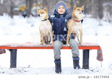 boy and a cute dog concept of friendship 18273908