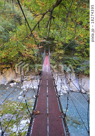 黒薙温泉近くの吊り橋 18274395