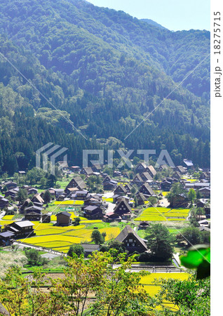 岐阜県_白川郷 18275715