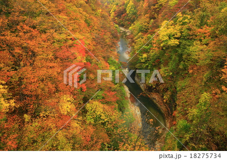 小安峡の紅葉 小安峡の紅葉 18275734