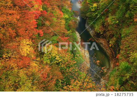 小安峡の紅葉 小安峡の紅葉 18275735