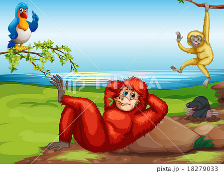 Wild animals by the lake 18279033