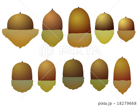 どんぐりアイコン どんぐりアイコン 18279668