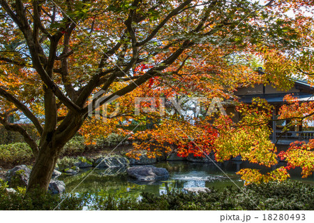 紅葉の日本庭園 紅葉の日本庭園 18280493