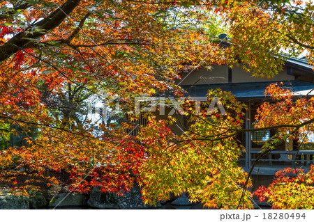 紅葉の日本庭園 18280494