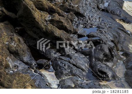 Crude oil on oil spill 18281185