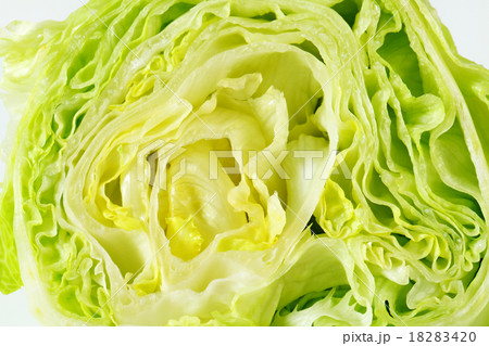 Iceberg lettuce Iceberg lettuce 18283420