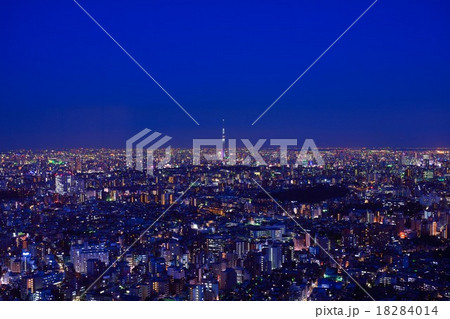 東京のビル群とスカイツリーの夜景 18284014
