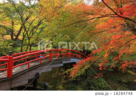 伊香保温泉　河鹿橋 18284748