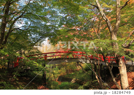 伊香保温泉　河鹿橋 18284749