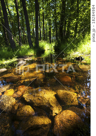 water source   18284984