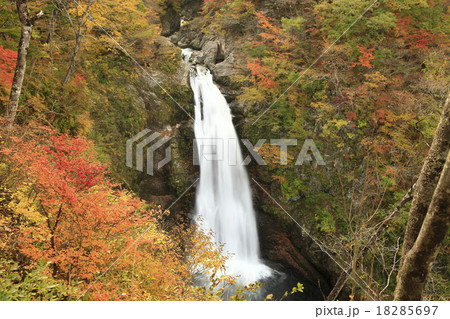 秋保大滝 紅葉の中を流れる秋保大滝の写真素材