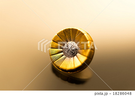 弁護士バッジイメージ 18286048