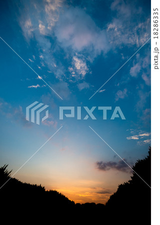 夕焼け 18286335