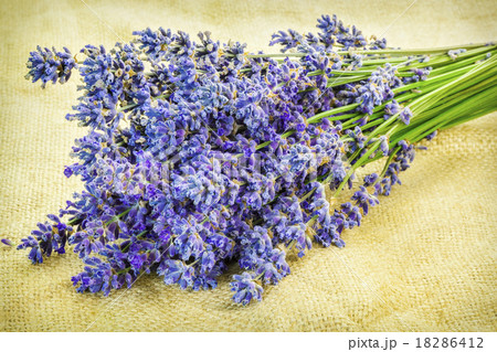 Lavender on rustic jute fabric 18286412