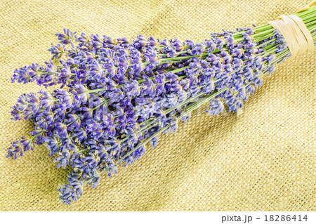 Lavender bunch on rustic jute fabric 18286414