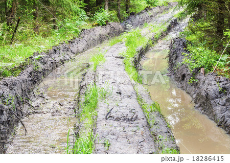 Deep rutted road through the forest  18286415