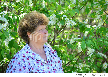 Pensive elderly woman in  spring nature with cherry flowers 18286754