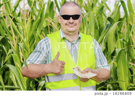 Farmer with money showing thumb up on corn field Farmer with money showing thumb up on corn field 18286809