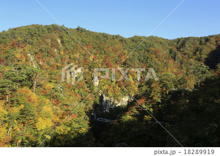 鳴子峡の紅葉 18289919