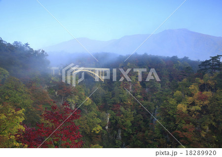 鳴子峡の紅葉 18289920