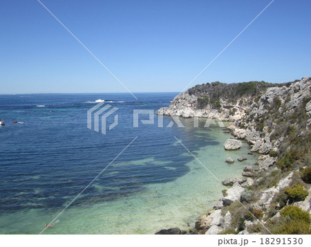 西オーストラリア　ロットネストアイランド 18291530