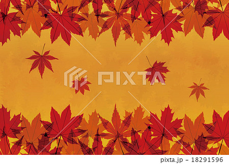 紅葉したモミジの背景画像 紅葉したモミジの背景画像 18291596