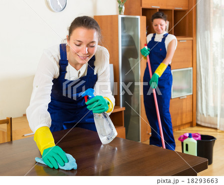 Professional cleaners washing apartment Professional cleaners washing apartment 18293663