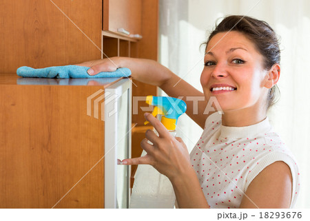 Housewife cleaning furniture with sprayer . 18293676