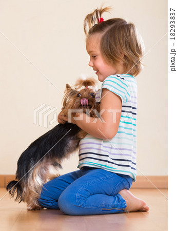 Cute little girl with yorkshire terrier indoor 18293837
