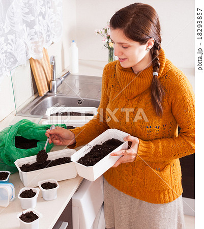 woman making ground for seedlings woman making ground for seedlings 18293857
